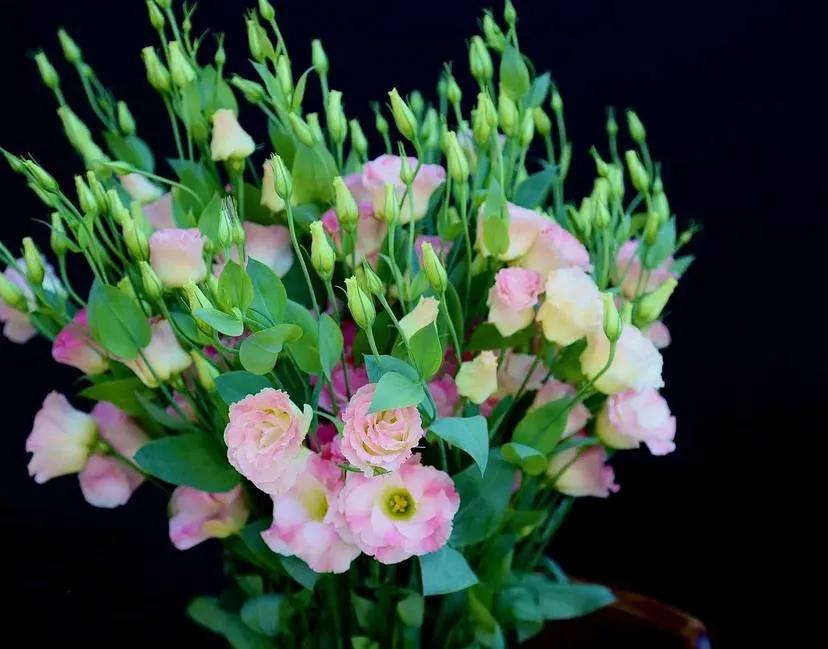 Bunch of lisianthus | ծաղիկներ, ծաղկեպսակներ, բույսեր Երևան Bunch of lisianthus | ծաղիկներ, ծաղկեպսակներ, բույսեր Երևան