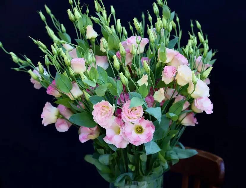 Bunch of lisianthus | ծաղիկներ, ծաղկեպսակներ, բույսեր Երևան Bunch of lisianthus | ծաղիկներ, ծաղկեպսակներ, բույսեր Երևան