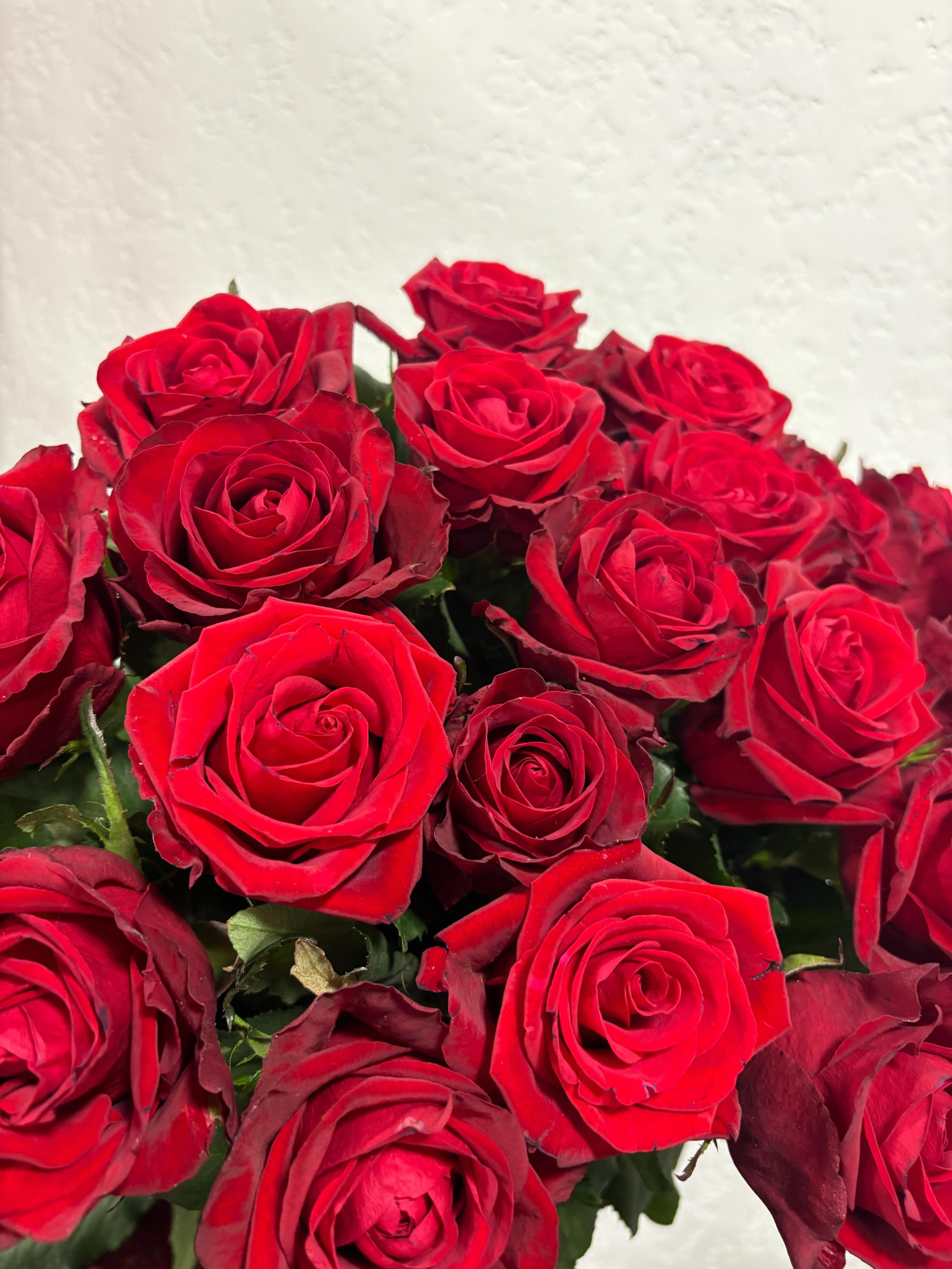 Bunch of roses | ծաղիկներ, ծաղկեպսակներ, բույսեր Երևան Bunch of roses | ծաղիկներ, ծաղկեպսակներ, բույսեր Երևան